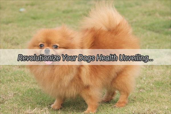 Revolutionize Your Dogs Health Unveiling the Maximum Duration for Fish Oil Supplements